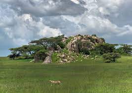 Day 8: Ndutu -East Serengeti (Namiri)